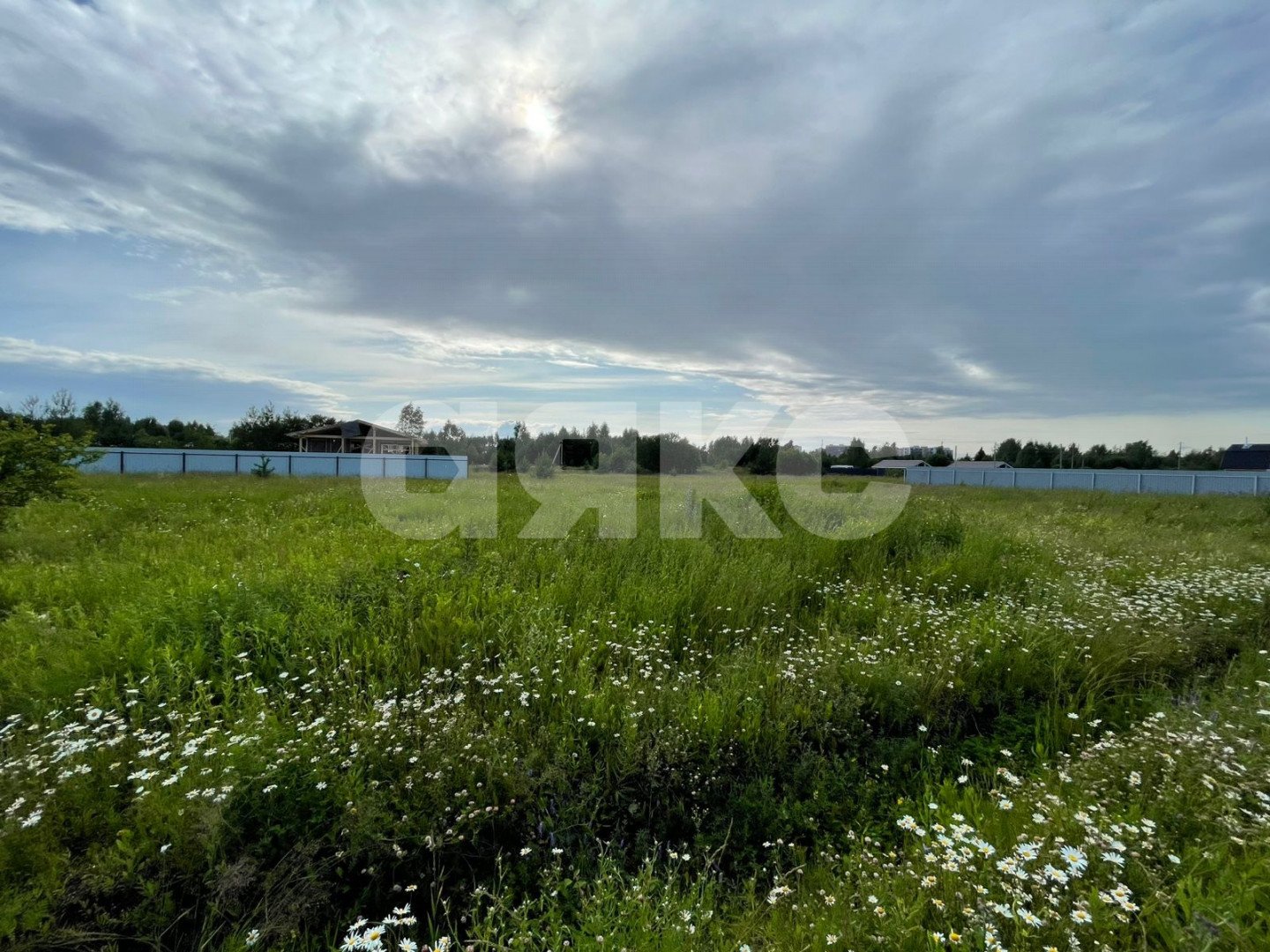 Фото №4: Личное подсобное хозяйство 6.5 сот. - Раменское, КП Дергаево-3, ул. Январская
