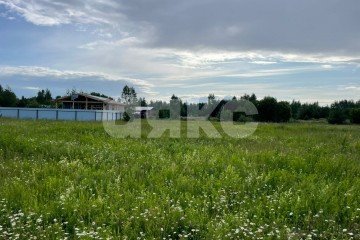 Фото №1: Личное подсобное хозяйство - Раменское, мкр. КП Дергаево-3, ул. Январская