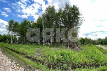 Фото №3: Земельный участок под ИЖС - Карпово, мкр. КП Кузяево Вилладж, 