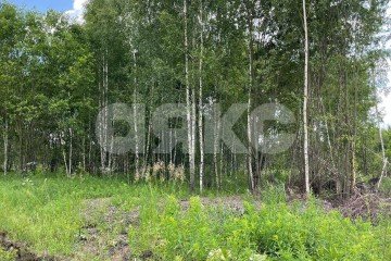 Фото №2: Земельный участок под ИЖС - Карпово, мкр. КП Кузяево Вилладж, 