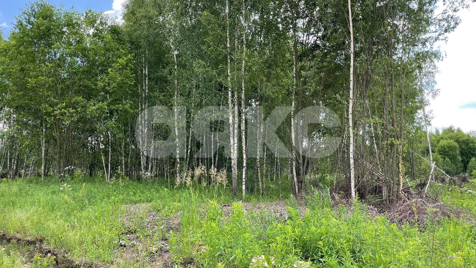 Фото №2: Земельный участок под ИЖС 6.5 сот. - Карпово, КП Кузяево Вилладж, 
