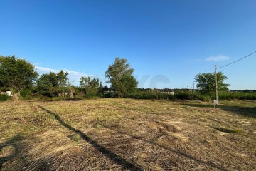 Фото №5: Участок садоводство 6 сот. - Южная Кубань, мкр. Карасунский внутригородской округ, ул. Яблоневая, 771