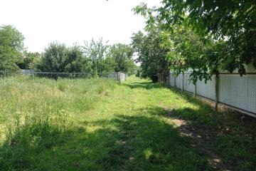 Фото №3: Земельный участок 7.24 сот. - Знаменский, мкр. Карасунский внутригородской округ, ул. Сосновая, 98