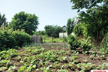 Фото №5: Дом 60 м² - Дружба, мкр. Карасунский внутригородской округ, ул. Сливовая, 20