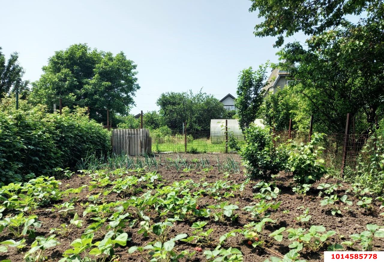 Фото №5: Дом 60 м² + 4.2 сот. - Дружба, Карасунский внутригородской округ, ул. Сливовая, 20