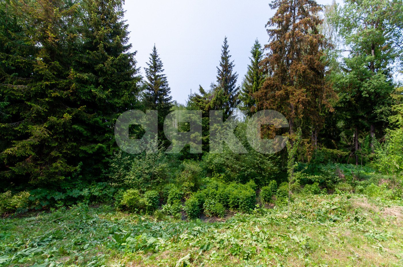Фото №17: Земельный участок под ИЖС 5750 сот. - Овсянниково, 