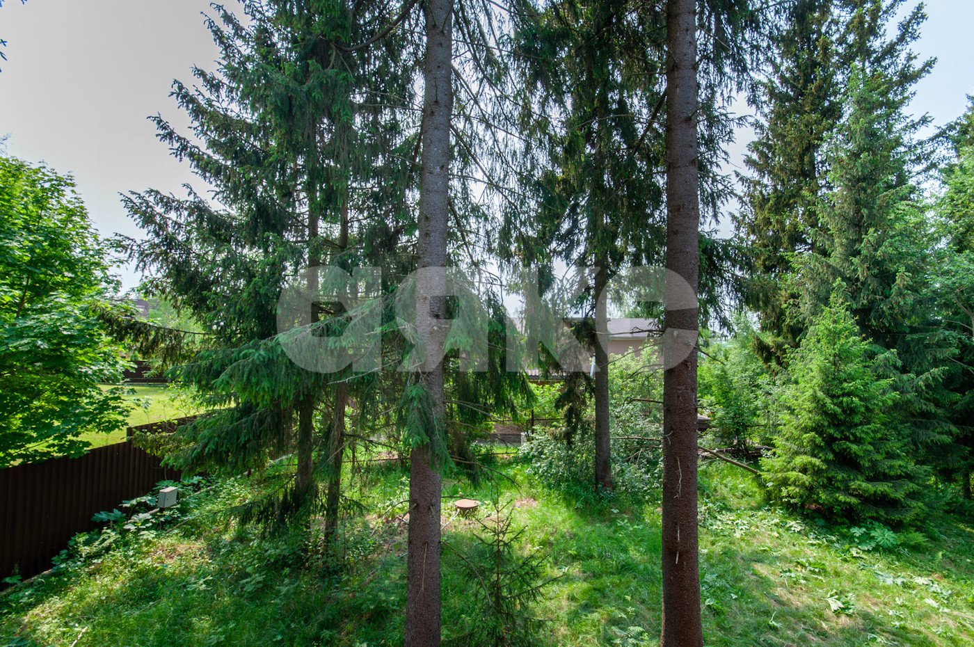 Фото №43: Земельный участок под ИЖС 5750 сот. - Овсянниково, 