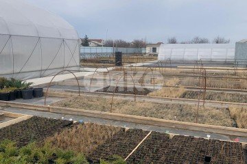 Фото №1: Личное подсобное хозяйство - Николаевка, ул. Петровская, 100