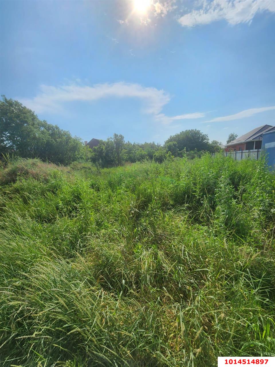 Фото №8: Личное подсобное хозяйство - СНТ Радуга, мкр. Прикубанский внутригородской округ, ул. Липовая