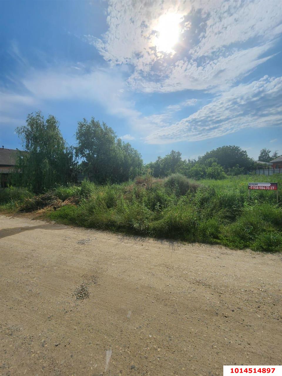 Фото №7: Личное подсобное хозяйство - СНТ Радуга, мкр. Прикубанский внутригородской округ, ул. Липовая