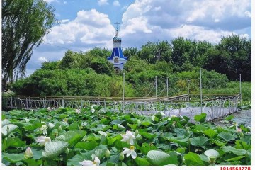 Фото №3: Земельный участок под ИЖС 7.7 сот. - Белозёрный, мкр. Прикубанский внутригородской округ, ул. Прекрасная, 1