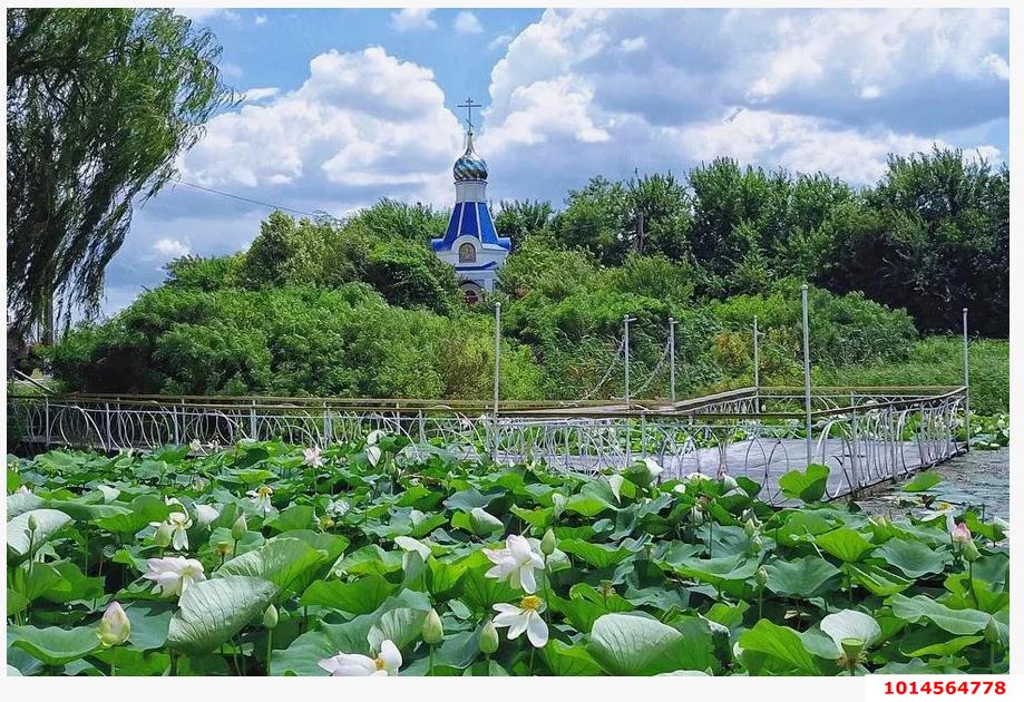 Фото №3: Земельный участок под ИЖС 7.7 сот. - Белозёрный, Прикубанский внутригородской округ, ул. Прекрасная, 1