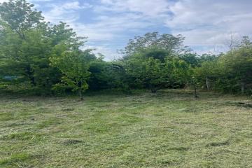 Фото №2: Земельный участок 7.7 сот. - Белозёрный, мкр. Прикубанский внутригородской округ, ул. Прекрасная, 1