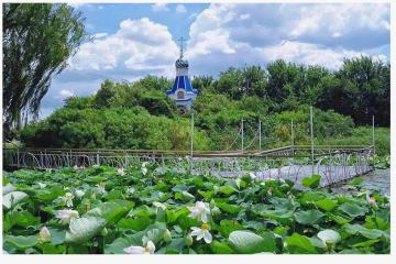 Фото №3: Земельный участок 7.7 сот. - Белозёрный, мкр. Прикубанский внутригородской округ, ул. Прекрасная, 1