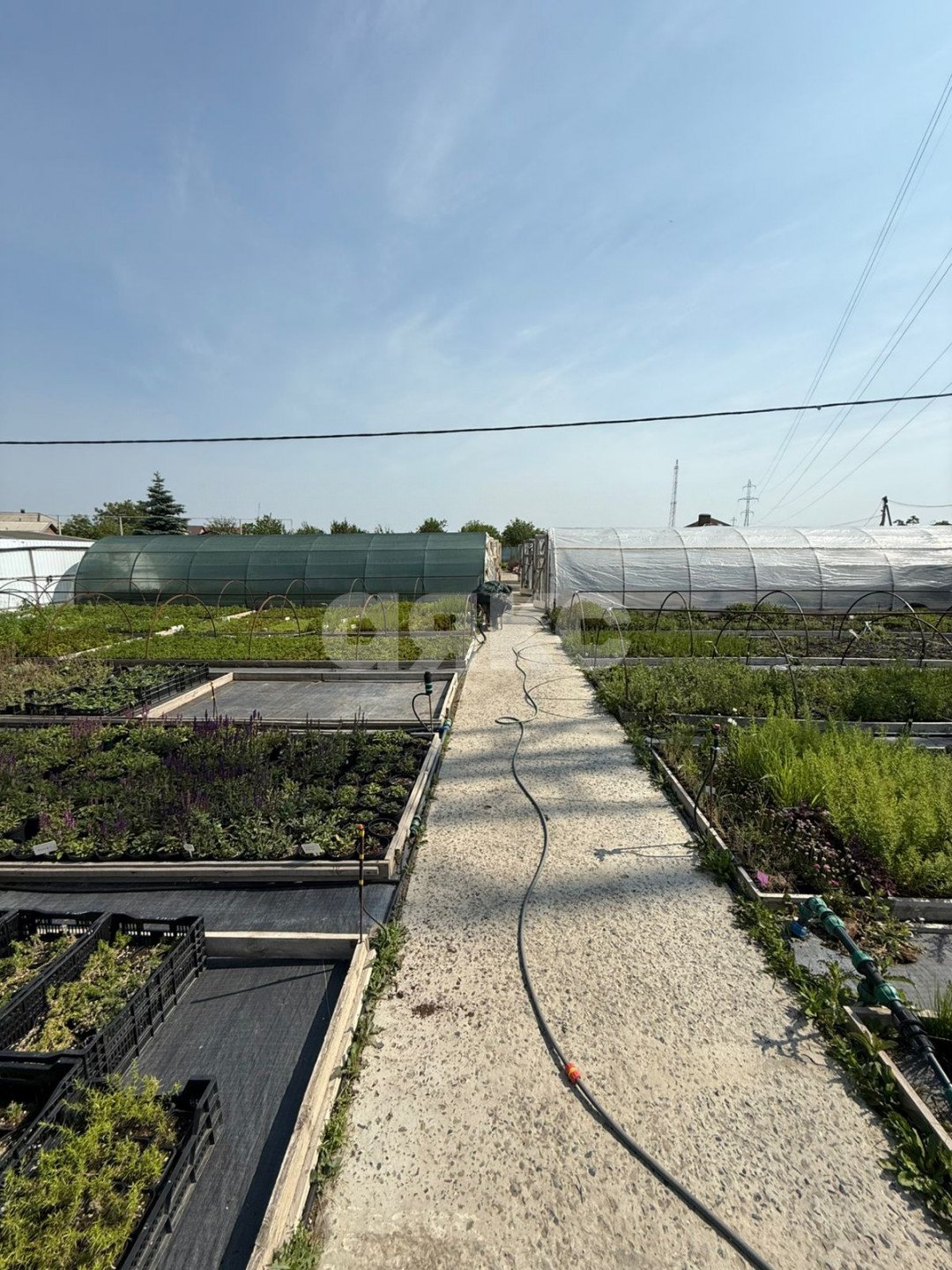 Фото №10: Коммерция 1000 м² - Николаевка, ул. Петровская, 100