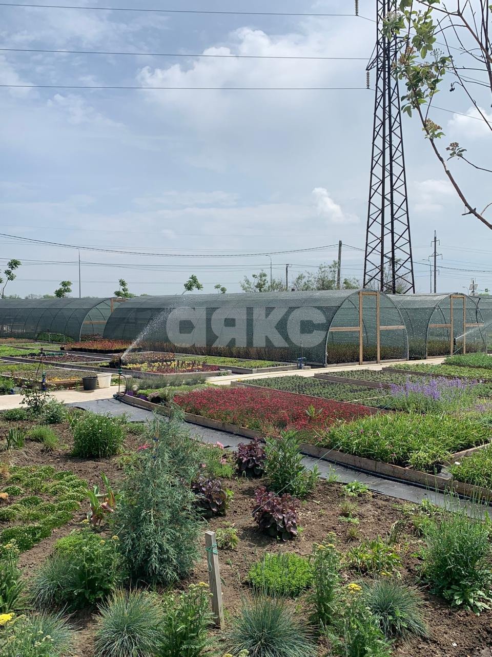 Фото №25: Коммерция 1000 м² - Николаевка, ул. Петровская, 100