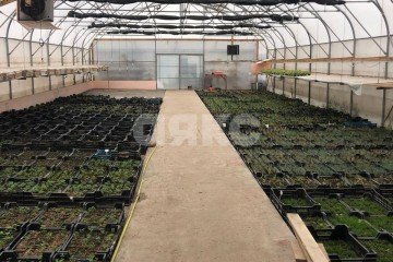 Фото №2: Коммерция 1000 м² - Николаевка, ул. Петровская, 100