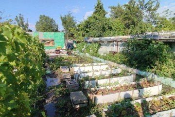 Фото №3: Дом 20 м² - Елизаветинская, ст Кубань-2, ул. Светлая, 20
