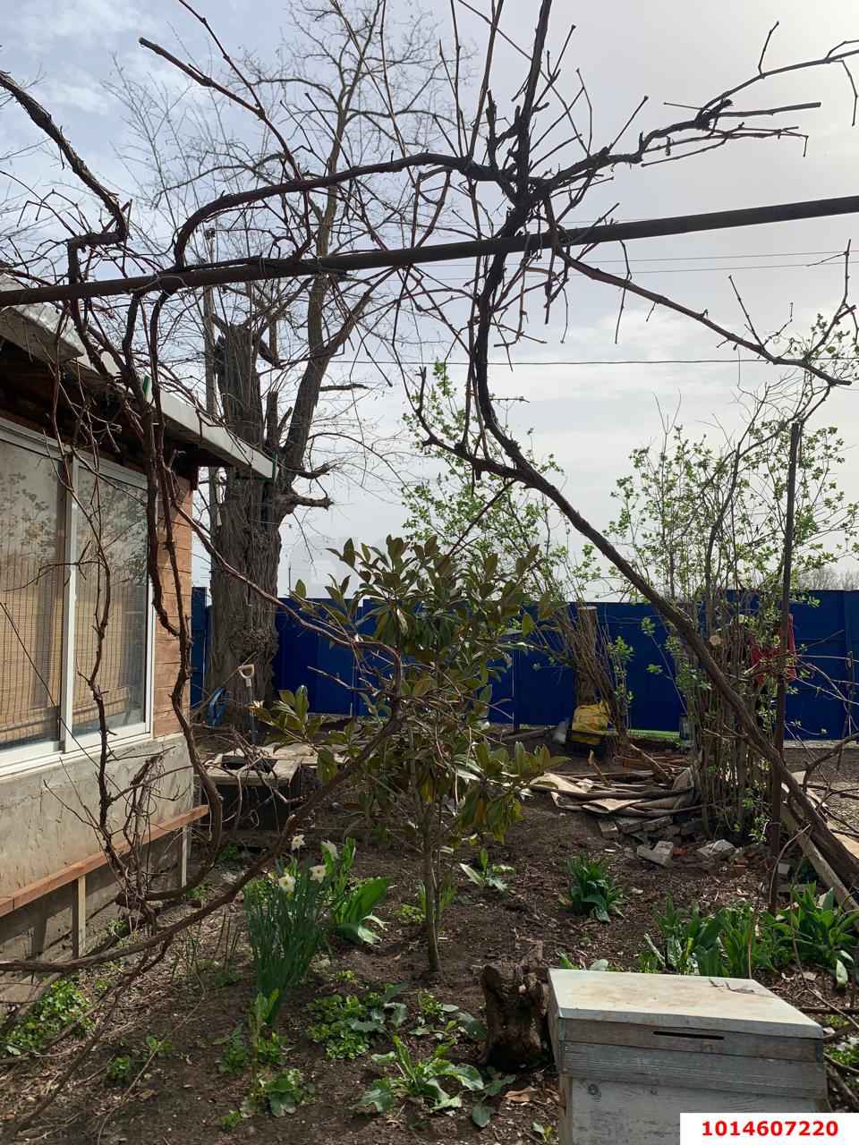 Фото №7: Дом 63 м² + 36.4 сот. - Нижний, ул. Заречная, 9