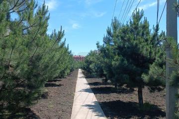 Фото №4: 1-комнатная квартира 37 м² - Яблоновский, мкр. жилой комплекс Солнечный, ул. Солнечная, 57к4