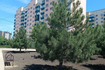 Фото №2: 1-комнатная квартира 37 м² - Яблоновский, мкр. жилой комплекс Солнечный, ул. Солнечная, 57к4