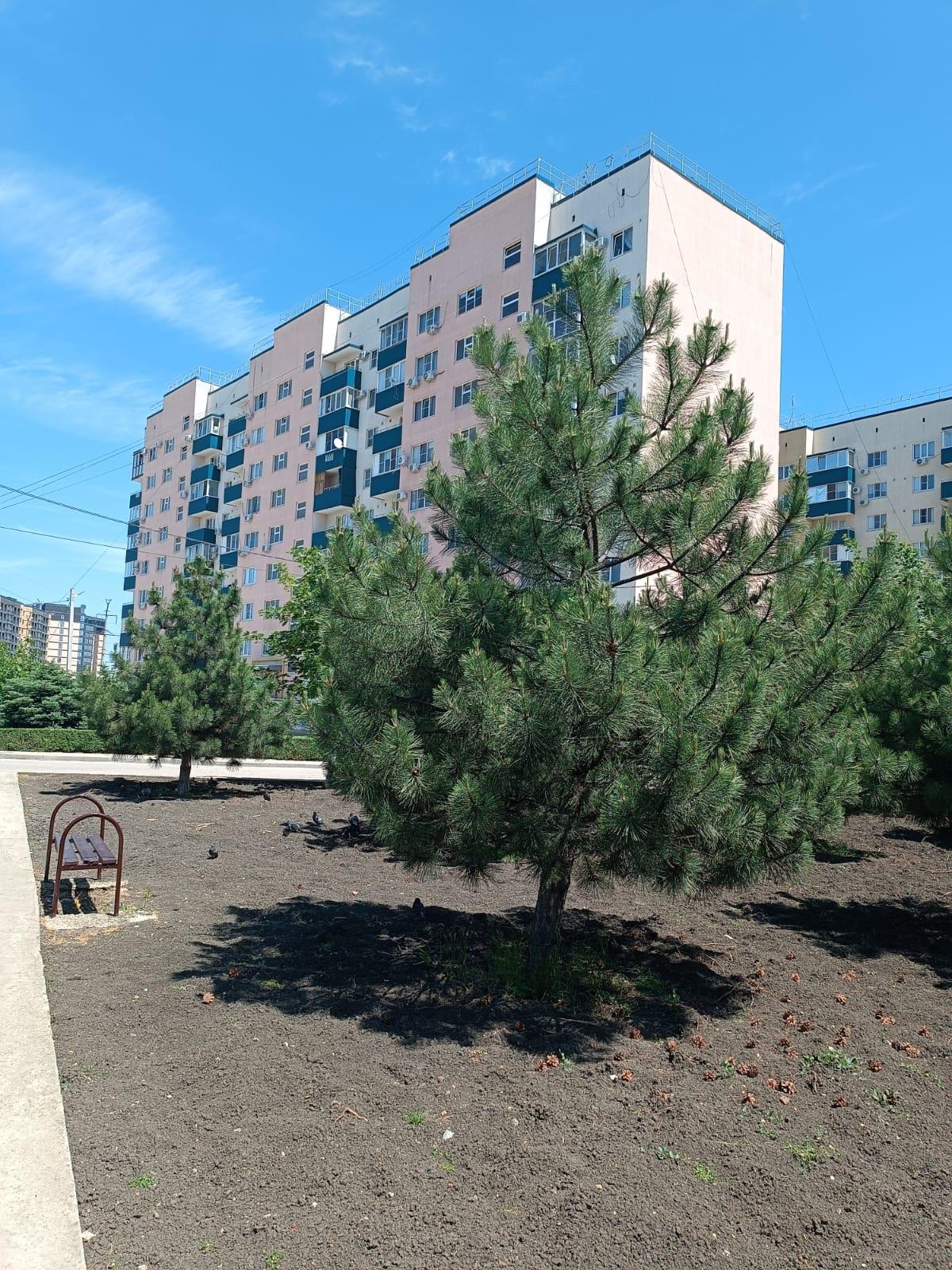 Фото №9: 1-комнатная квартира 37 м² - Яблоновский, мкр. жилой комплекс Солнечный, ул. Солнечная, 57к4