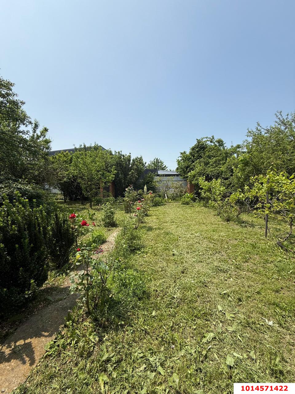 Фото №9: Дом 45 м² + 5.81 сот. - Елизаветинская, Прикубанский внутригородской округ, ст Нива, ул. Ягодная, 22