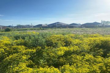 Фото №5: Земельный участок 4.41 сот. - Марьянская, пер. Спускной