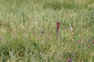 Фото №4: Земельный участок под ИЖС 10 сот. - Индустриальный, мкр. Прикубанский внутригородской округ, ул. Уваровская, 31