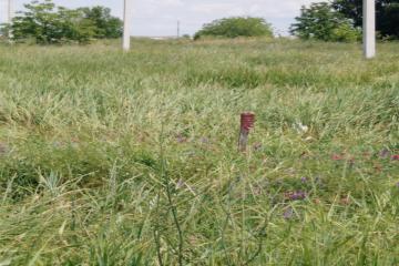 Фото №4: Земельный участок 10 сот. - Индустриальный, мкр. Прикубанский внутригородской округ, ул. Уваровская, 31