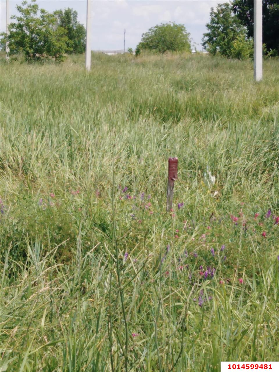 Фото №4: Земельный участок 10 сот. - Индустриальный, мкр. Прикубанский внутригородской округ, ул. Уваровская, 31