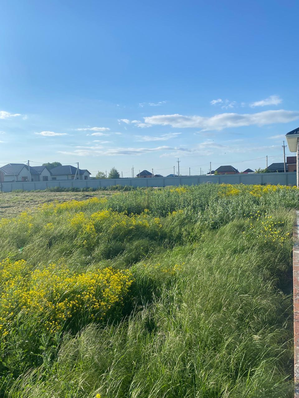 Фото №8: Земельный участок 4.07 сот. - Марьянская, ул. Чарльза Дарвина