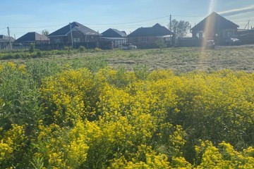 Фото №4: Земельный участок под ИЖС 4.07 сот. - Марьянская, ул. Чарльза Дарвина