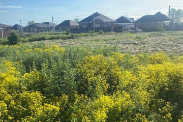 Фото №2: Земельный участок под ИЖС 4.2 сот. - Марьянская, ул. Чарльза Дарвина