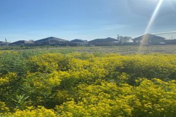 Фото №4: Земельный участок 4.15 сот. - Марьянская, ул. Чарльза Дарвина