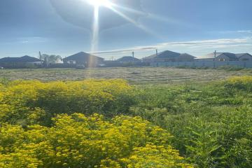 Фото №3: Земельный участок 4.15 сот. - Марьянская, ул. Чарльза Дарвина