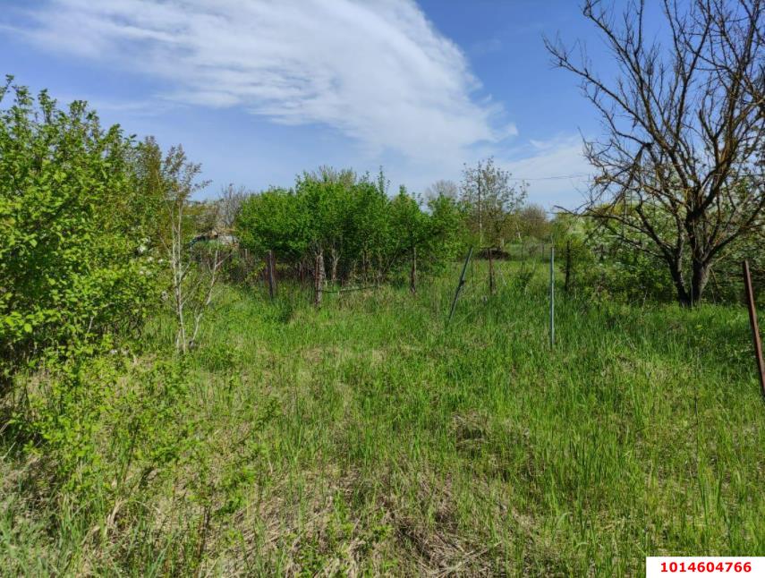 Фото №3: Земельный участок под ИЖС 11.5 сот. - Павловская, ул. Зелёная, 245