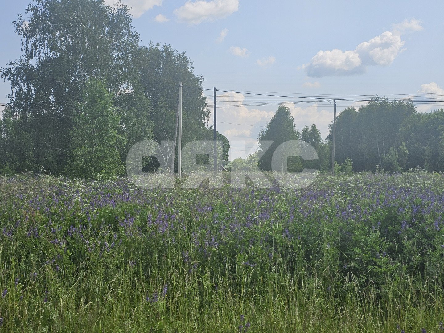 Фото №3: Земельный участок под ИЖС 26.5 сот. - Городня, 