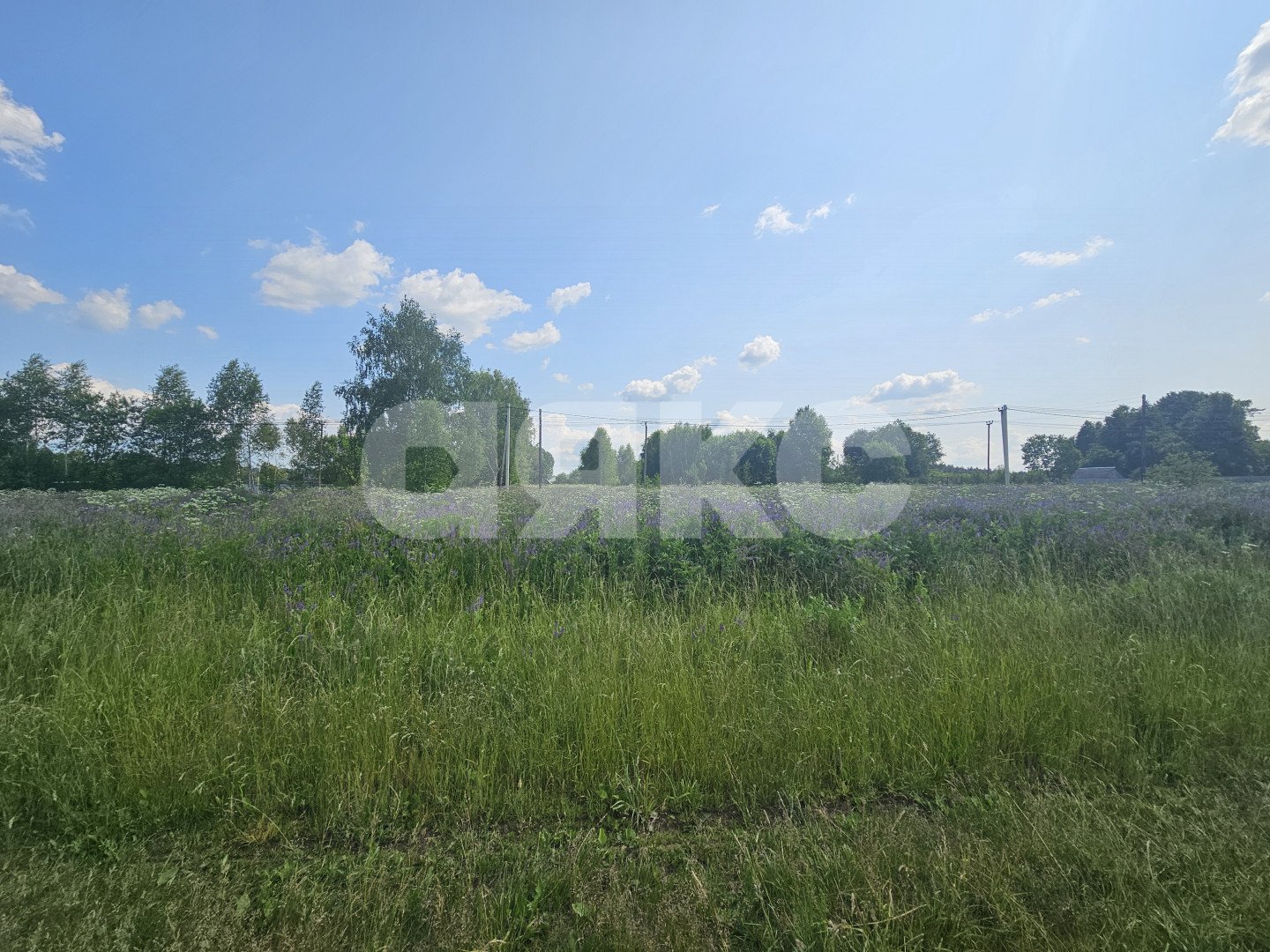 Фото №1: Земельный участок под ИЖС 26.5 сот. - Городня, 
