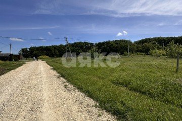 Фото №5: Личное подсобное хозяйство - Сенной, ул. Гагарина, 7