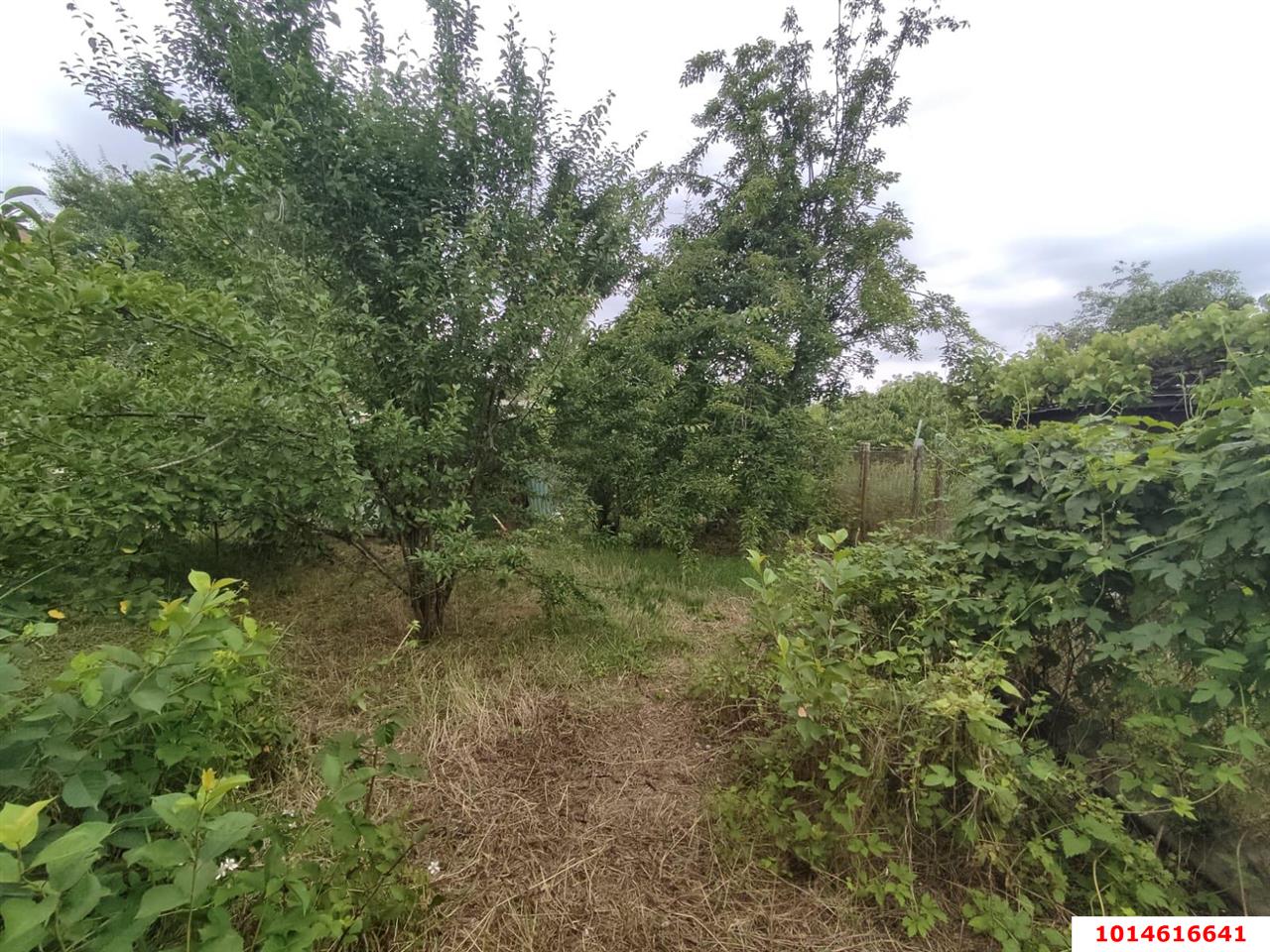 Фото №5: Дом 36 м² + 4.05 сот. - Пламя, Карасунский внутригородской округ, ул. Вишнёвая, 287
