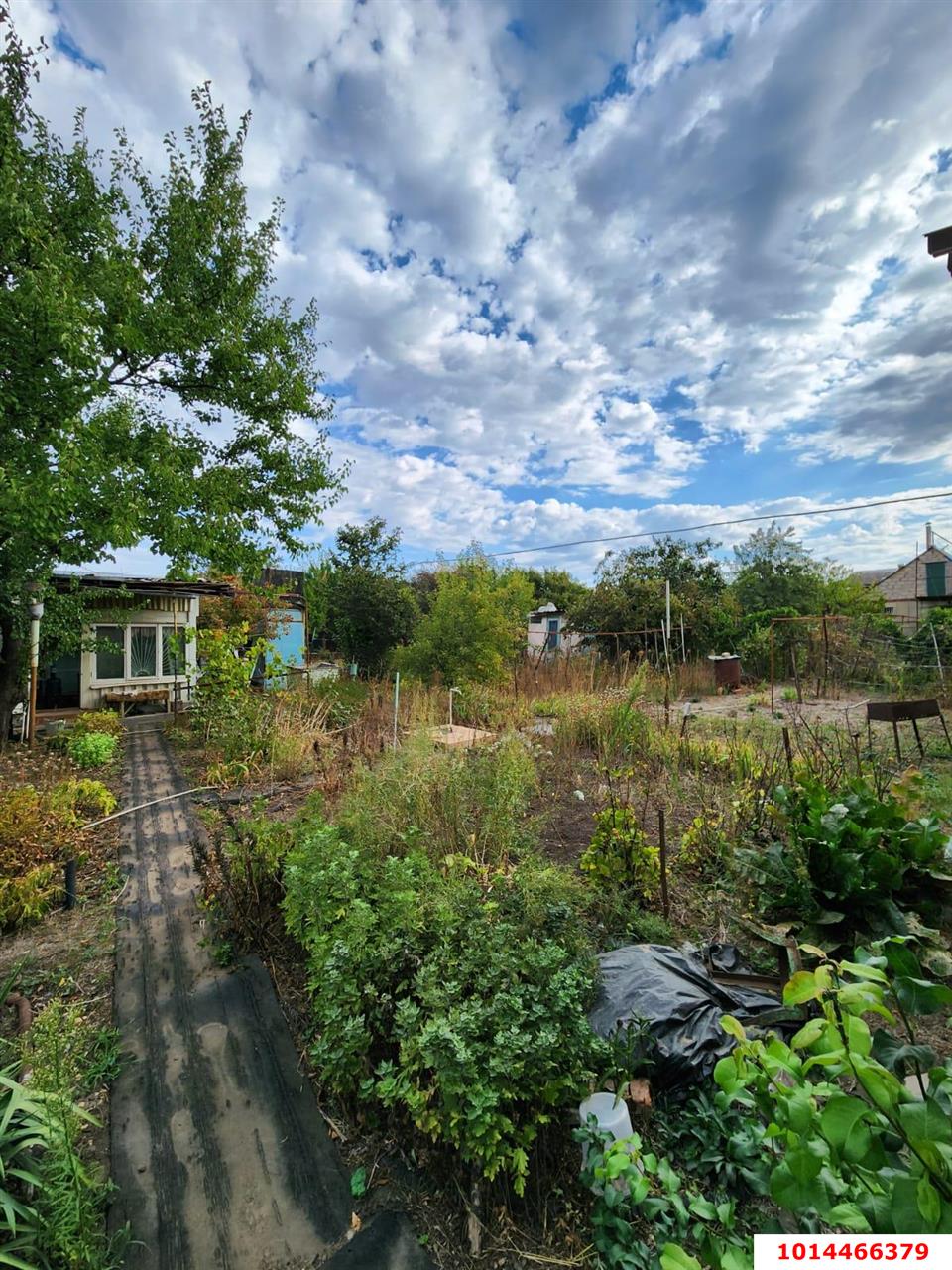Фото №7: Дом 46 м² + 5.6 сот. - Сад Кубани, Прикубанский внутригородской округ, ул. Парковая, 47
