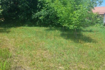 Фото №4: Участок садоводство 6 сот. - Южный, ст Ивушка, ул. Грушевая, 52