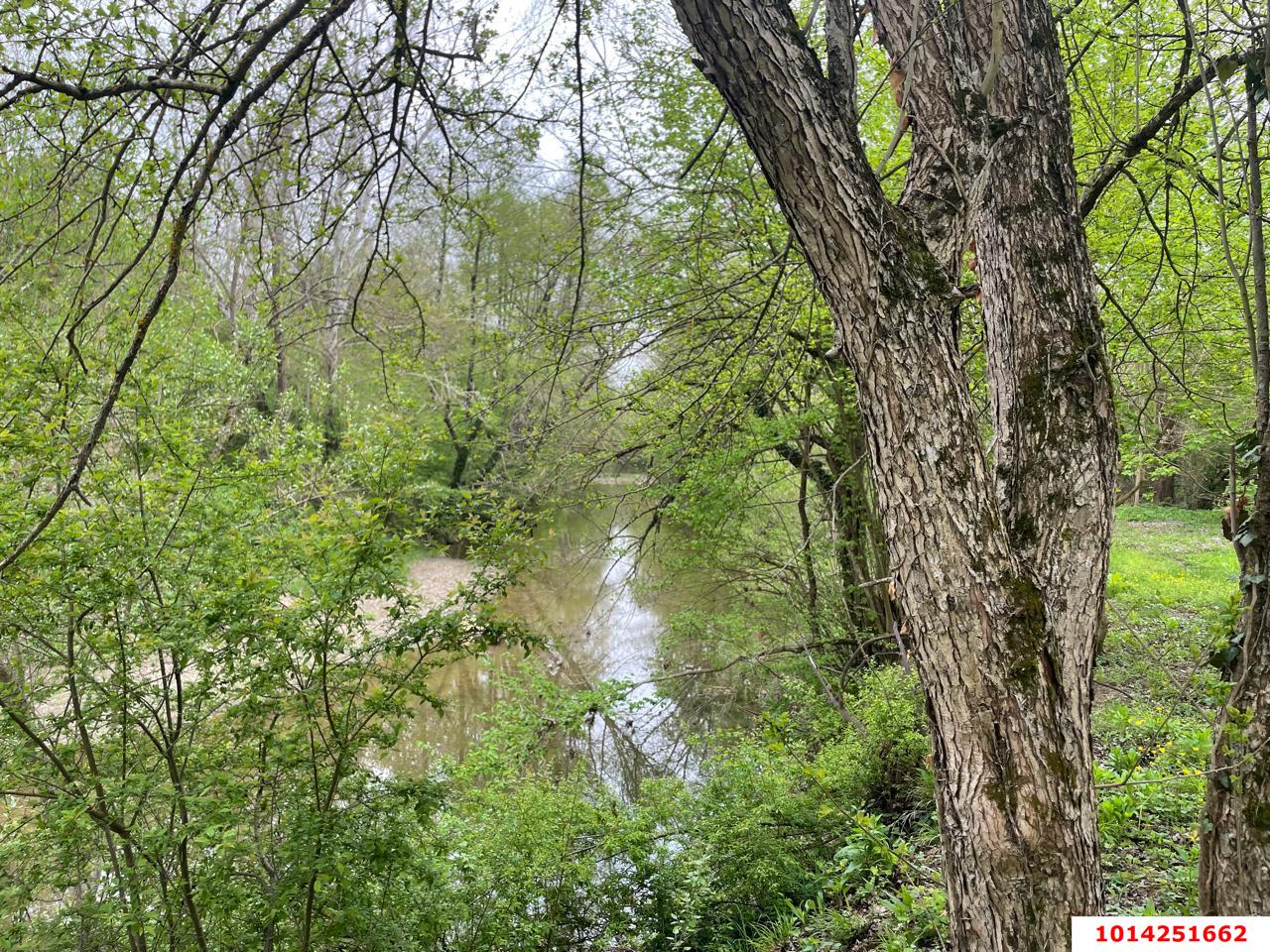 Фото №3: Дом 286 м² + 6.12 сот. - Крепостная, ул. Кирова