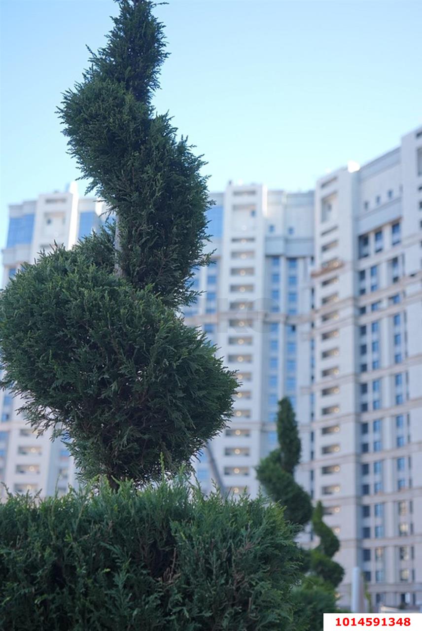 Фото №15: Студия 34 м² - Краснодар, Школьный, Прикубанский внутригородской округ, Круглик, мкр. жилой комплекс Сердце, ул. Школьная, 1