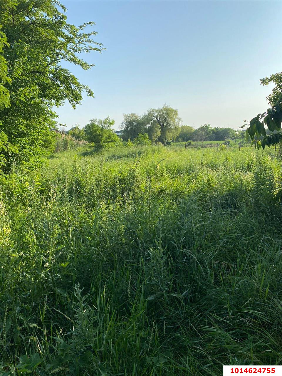 Фото №6: Дом 46 м² + 20 сот. - Платнировская, ул. Советская, 221