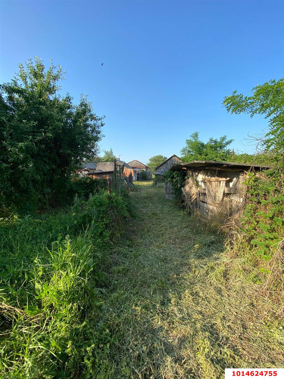 Фото №5: Дом 46 м² + 20 сот. - Платнировская, ул. Советская, 221