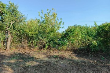 Фото №3: Участок садоводство 6 сот. - Елизаветинская, ст Электрик, ул. Розовая, 152