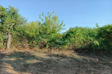 Фото №3: Земельный участок 6 сот. - Елизаветинская, ст Электрик, ул. Розовая, 152