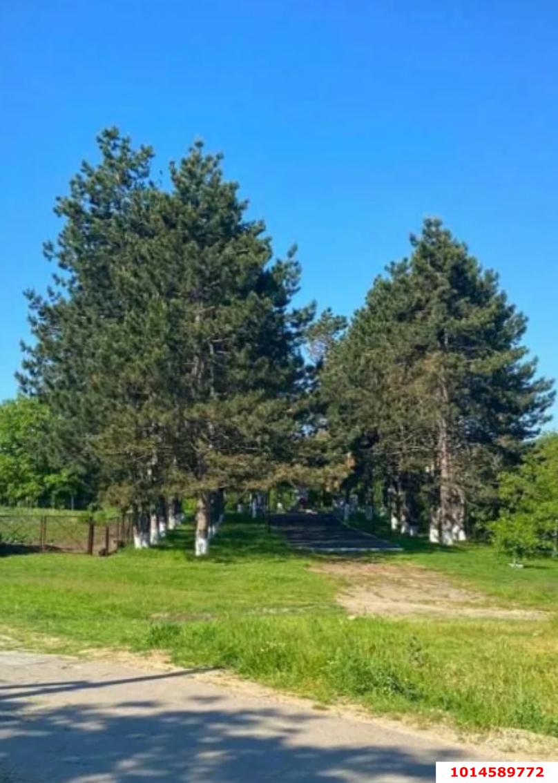 Фото №5: Дом 148 м² + 15 сот. - Шептальский, ул. Мичурина, 5